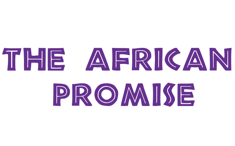 The African Promise Aims at Improving the Representation of Africans in International Arbitration